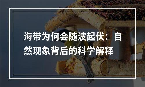 海带为何会随波起伏：自然现象背后的科学解释
