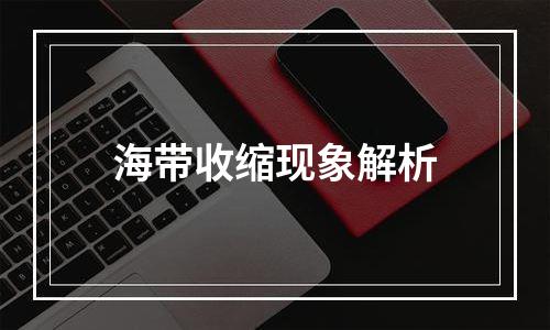 海带收缩现象解析