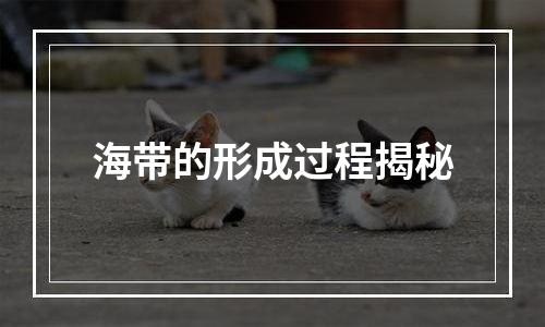 海带的形成过程揭秘