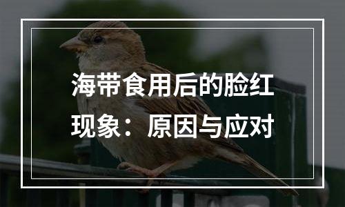 海带食用后的脸红现象：原因与应对