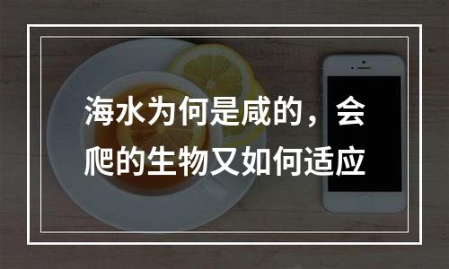 海水为何是咸的，会爬的生物又如何适应