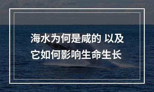 海水为何是咸的 以及它如何影响生命生长
