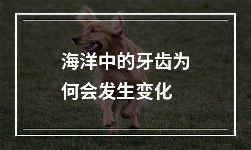 海洋中的牙齿为何会发生变化