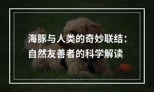 海豚与人类的奇妙联结：自然友善者的科学解读