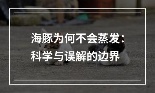 海豚为何不会蒸发：科学与误解的边界
