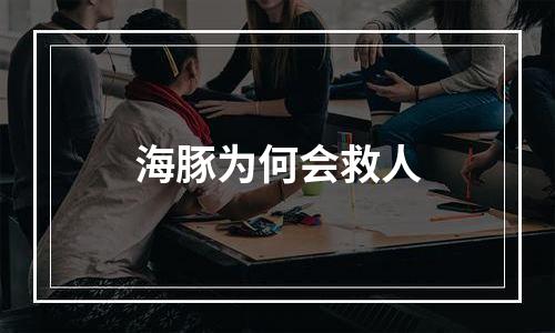 海豚为何会救人