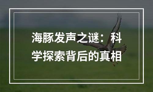 海豚发声之谜：科学探索背后的真相