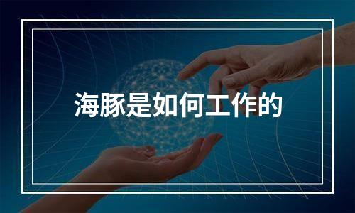 海豚是如何工作的