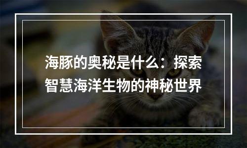 海豚的奥秘是什么：探索智慧海洋生物的神秘世界