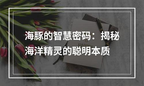 海豚的智慧密码：揭秘海洋精灵的聪明本质