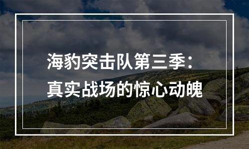 海豹突击队第三季：真实战场的惊心动魄