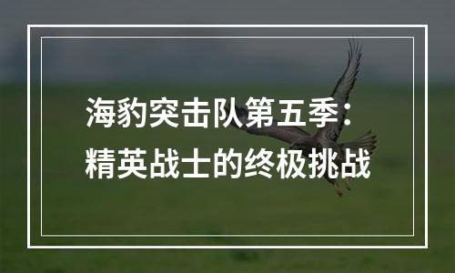 海豹突击队第五季：精英战士的终极挑战