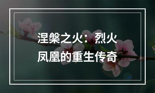 涅槃之火：烈火凤凰的重生传奇