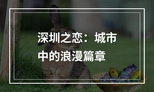 深圳之恋：城市中的浪漫篇章