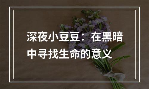 深夜小豆豆：在黑暗中寻找生命的意义