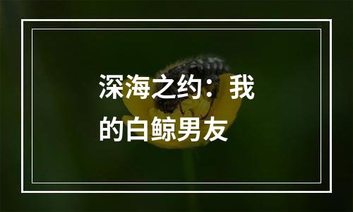 深海之约：我的白鲸男友