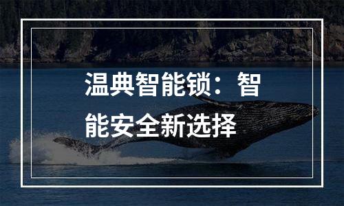 温典智能锁：智能安全新选择