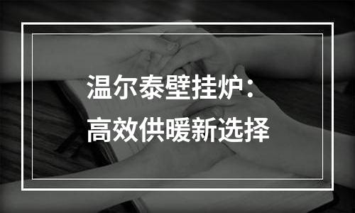 温尔泰壁挂炉：高效供暖新选择