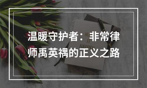温暖守护者：非常律师禹英禑的正义之路