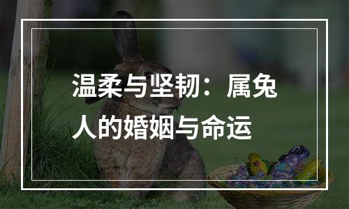 温柔与坚韧：属兔人的婚姻与命运