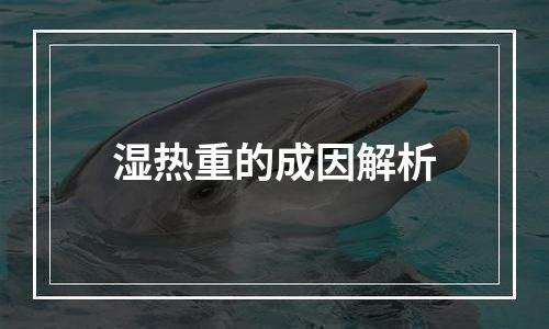 湿热重的成因解析