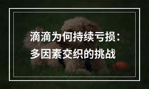 滴滴为何持续亏损：多因素交织的挑战