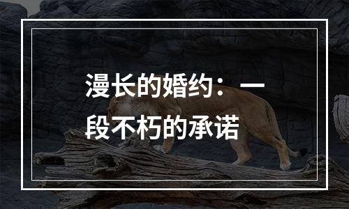 漫长的婚约：一段不朽的承诺