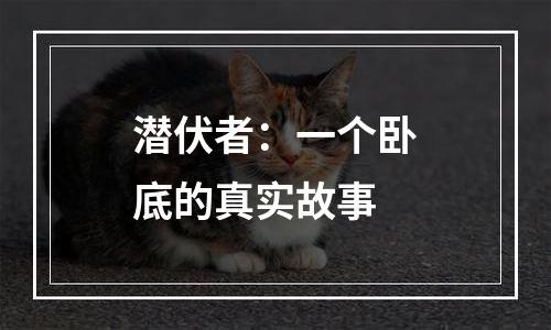 潜伏者：一个卧底的真实故事