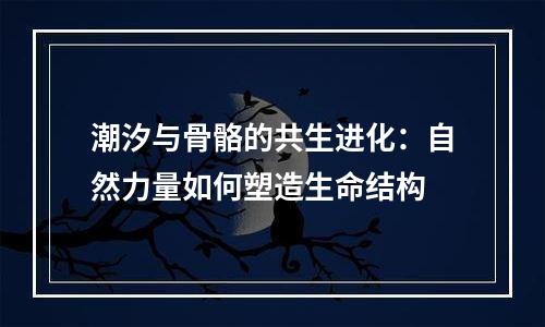 潮汐与骨骼的共生进化：自然力量如何塑造生命结构