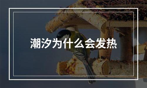 潮汐为什么会发热