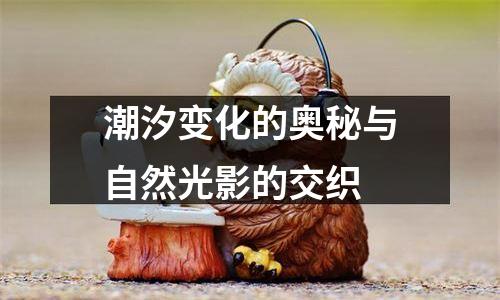 潮汐变化的奥秘与自然光影的交织