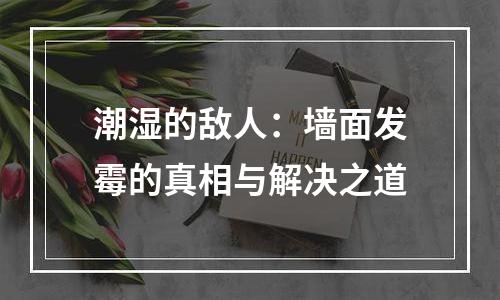 潮湿的敌人：墙面发霉的真相与解决之道