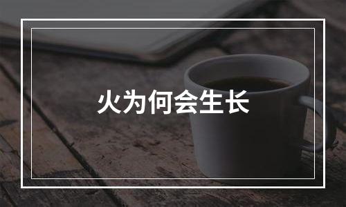 火为何会生长