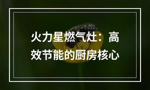火力星燃气灶：高效节能的厨房核心