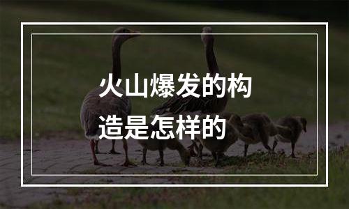 火山爆发的构造是怎样的