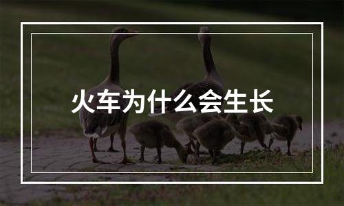 火车为什么会生长