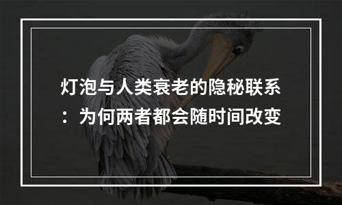 灯泡与人类衰老的隐秘联系：为何两者都会随时间改变