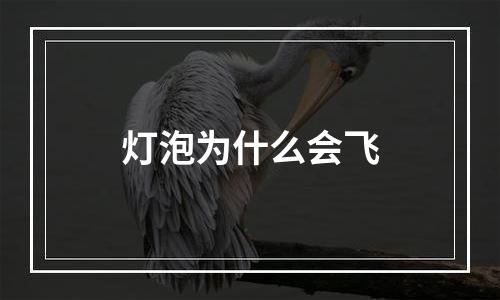 灯泡为什么会飞