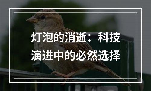 灯泡的消逝：科技演进中的必然选择