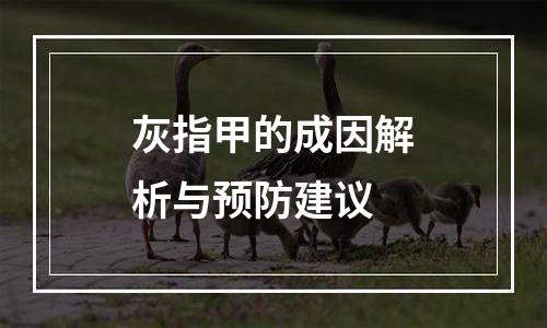 灰指甲的成因解析与预防建议