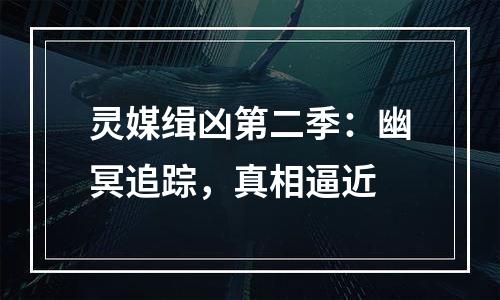 灵媒缉凶第二季：幽冥追踪，真相逼近