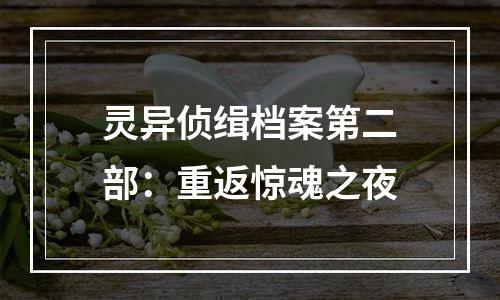 灵异侦缉档案第二部：重返惊魂之夜