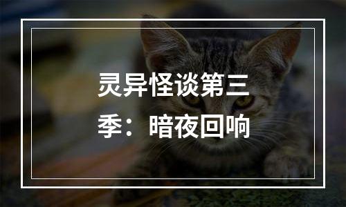 灵异怪谈第三季：暗夜回响