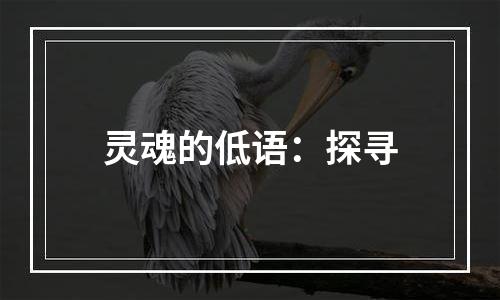 灵魂的低语：探寻