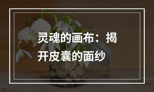 灵魂的画布：揭开皮囊的面纱