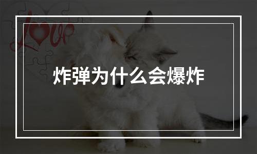 炸弹为什么会爆炸