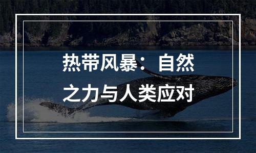 热带风暴：自然之力与人类应对