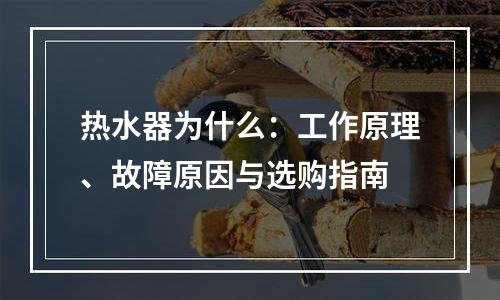 热水器为什么：工作原理、故障原因与选购指南