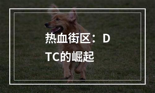 热血街区：DTC的崛起