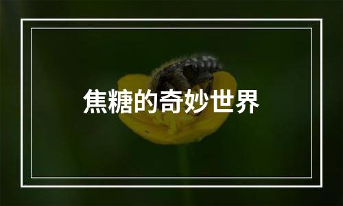 焦糖的奇妙世界